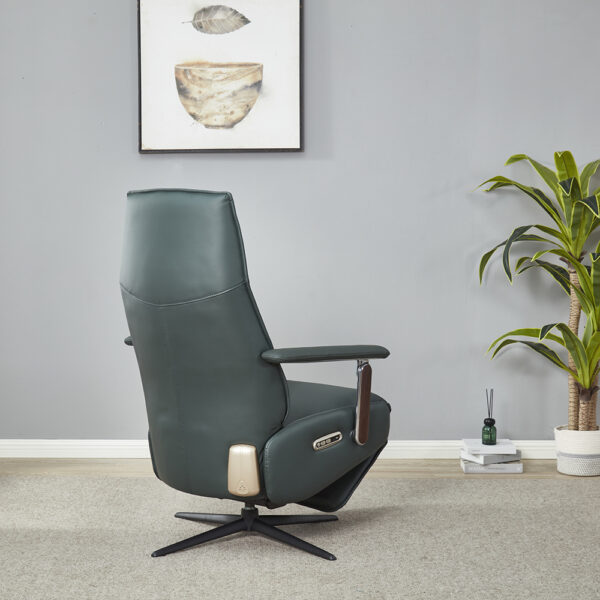 function armchair km6105