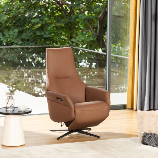 Custom Designing Functional Armchair / Recliner-KM7202