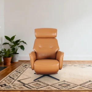 electric recliner