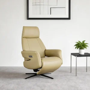 electric recliner